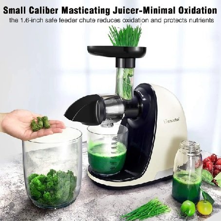The best commercial cold press juicers